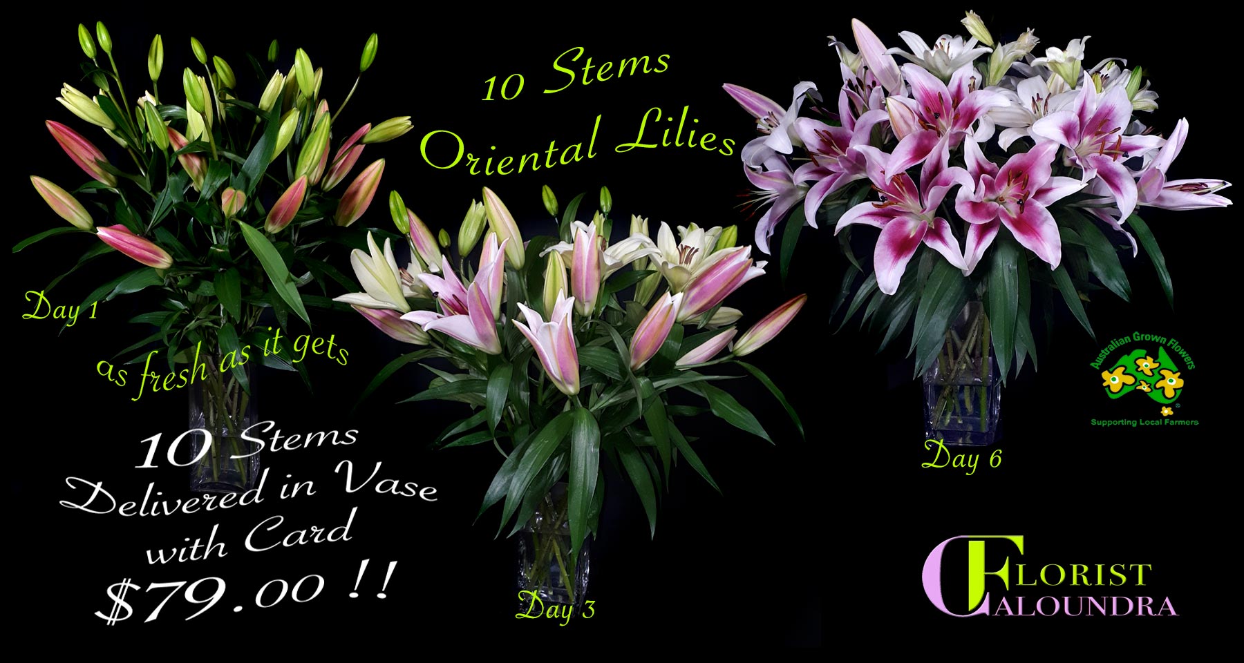 10 PINK ORIENTAL LILIES