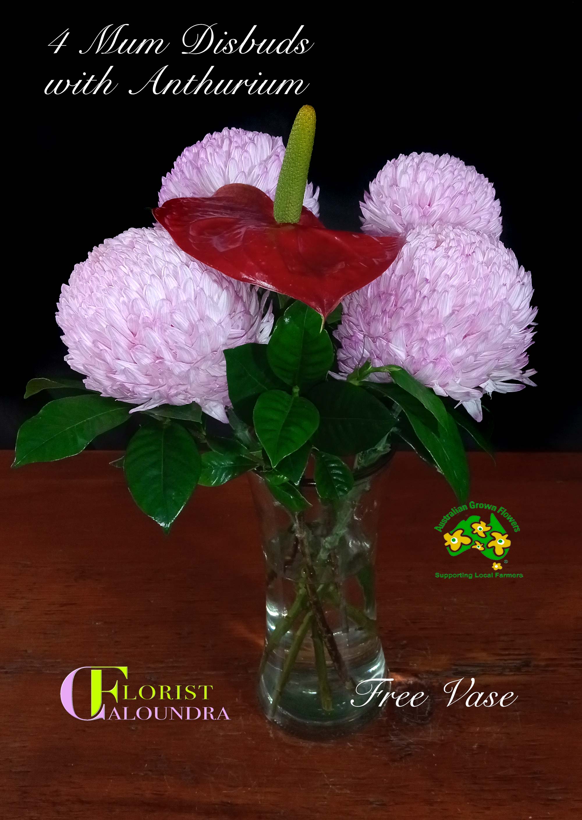 MUM DISBUDS and ANTHURIUM