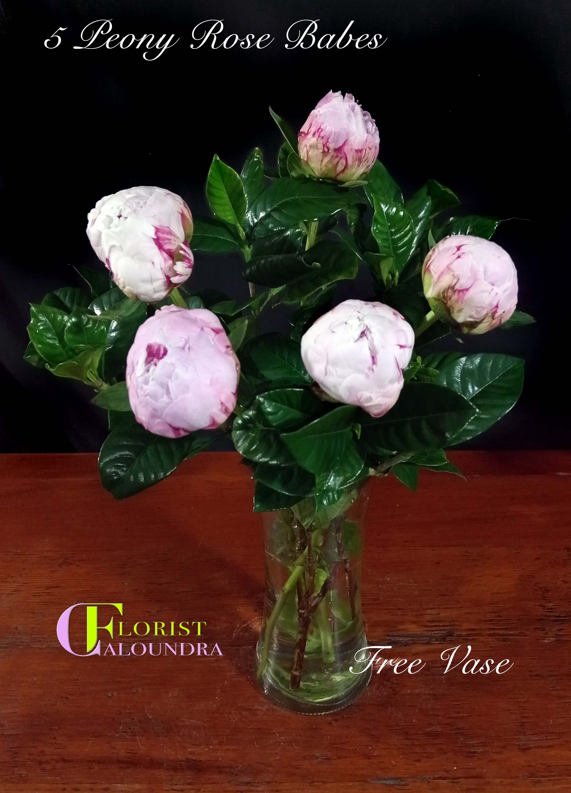CALOUNDRA FLORIST BULK FLOWERS