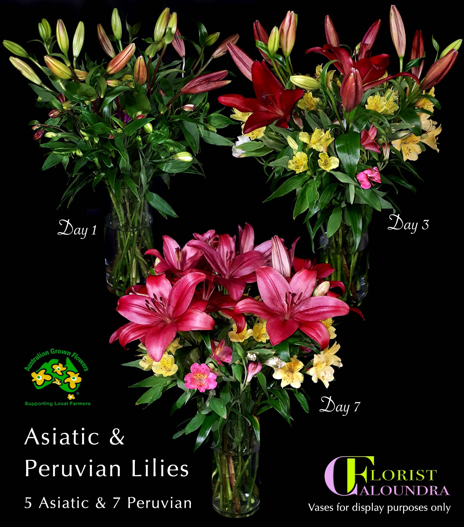 CALOUNDRA FLORIST BULK PERUVIAN LILIES