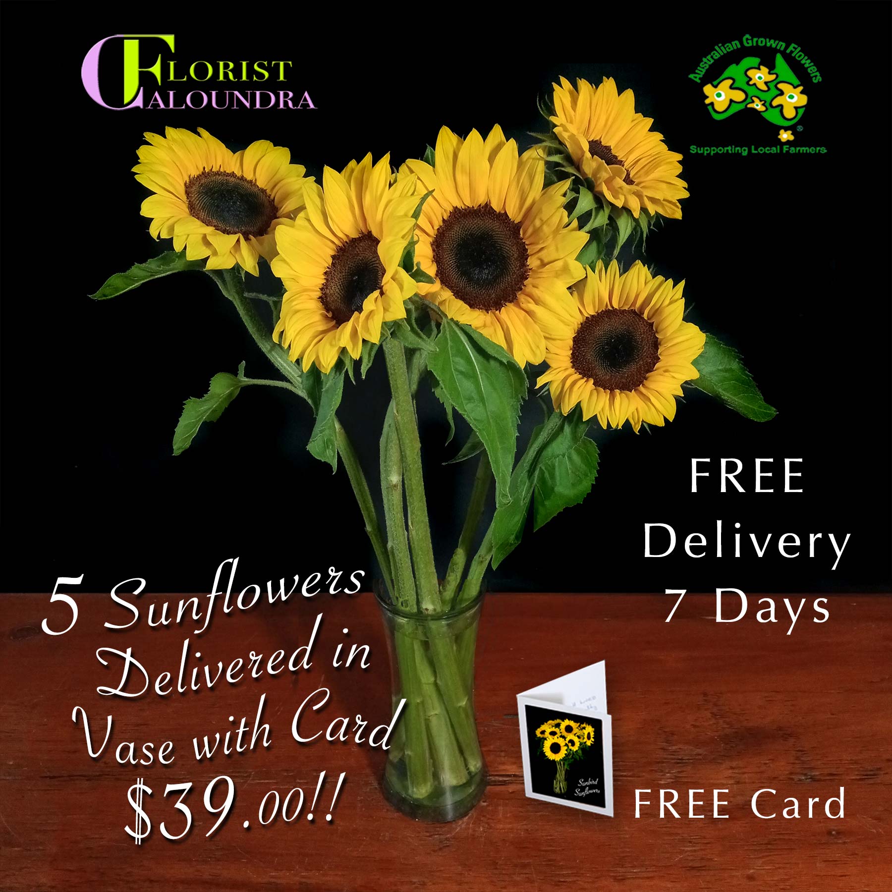 5 SUNFLOWERS