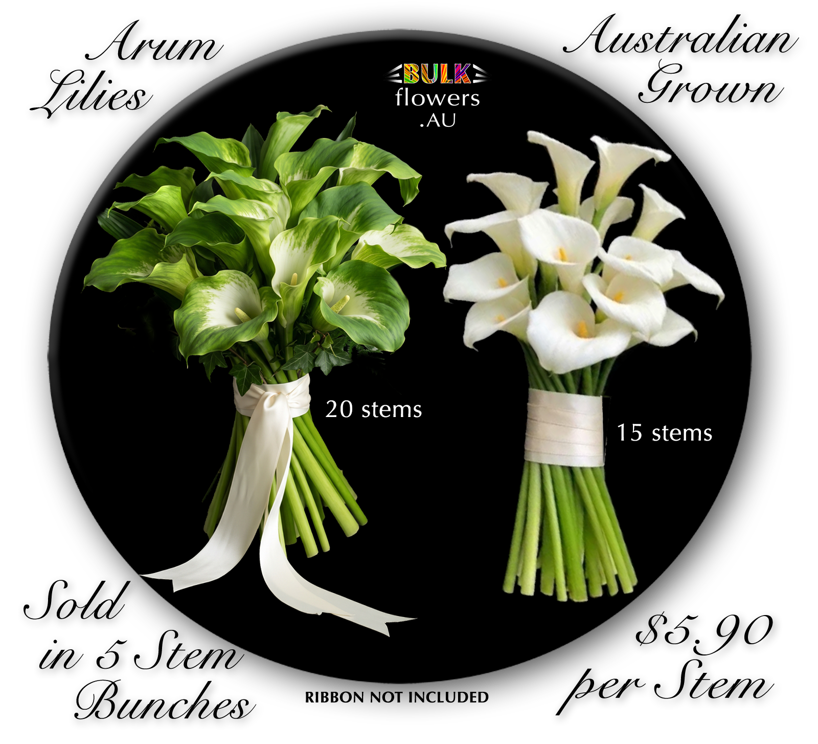 ARUM LILIES
