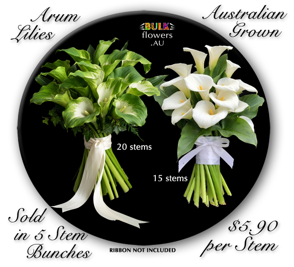 BULK FLOWERS