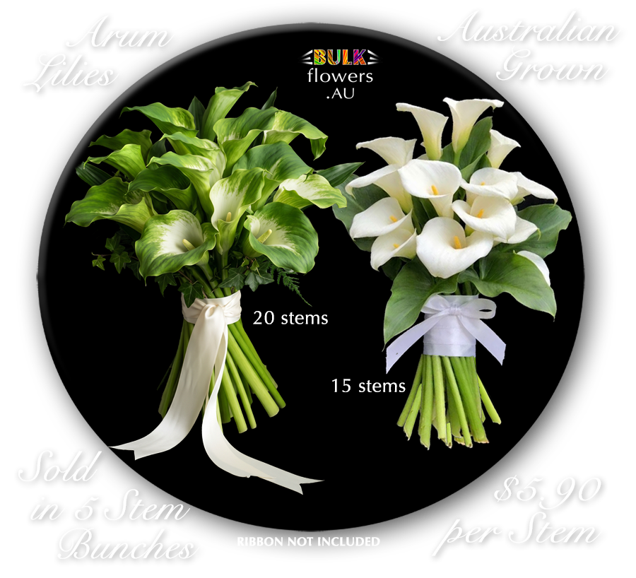 ARUM LILIES