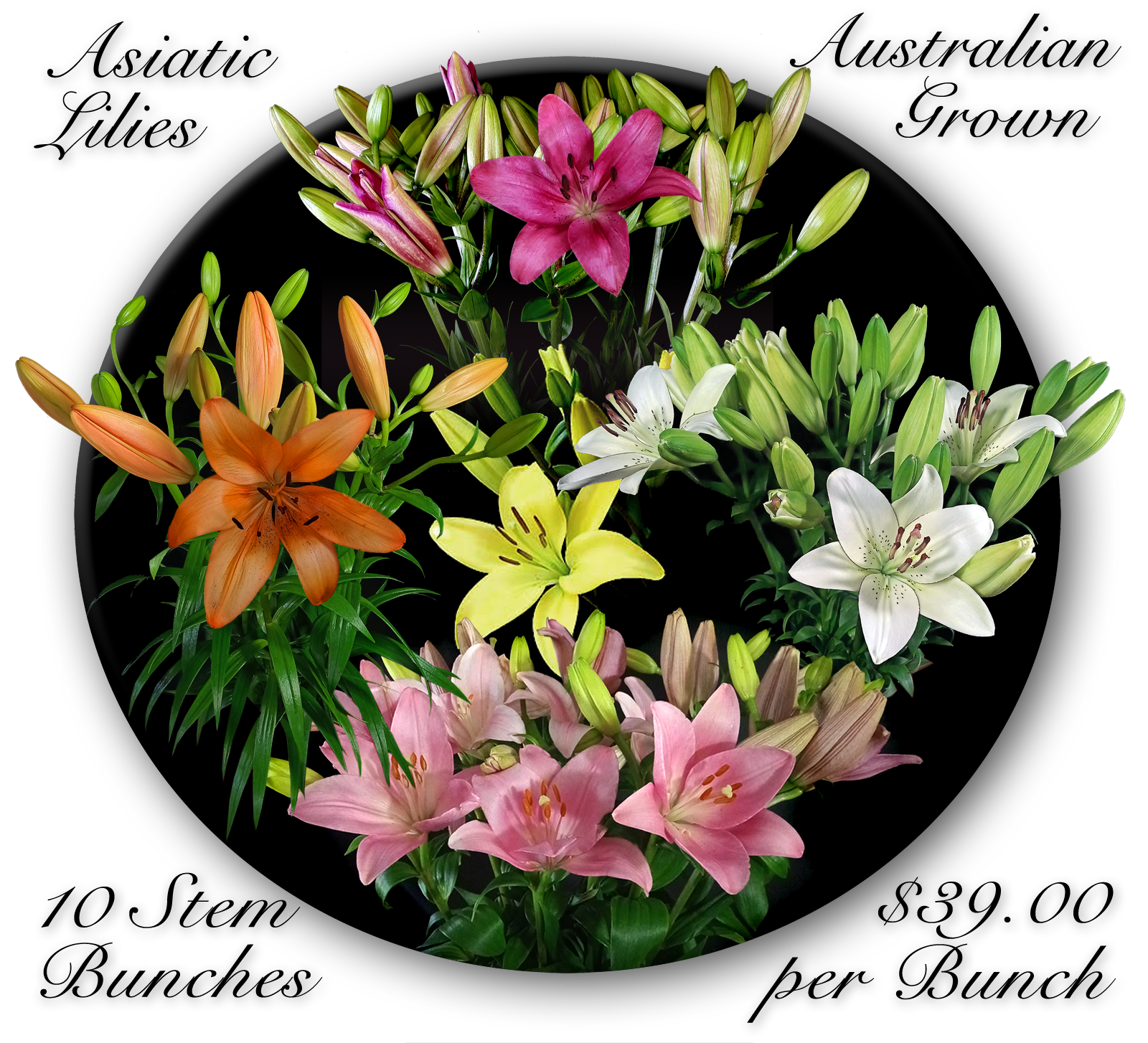 BULK FLOWERS CALOUNDRA & SUNSHINE COAST