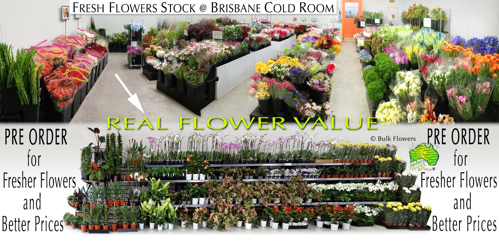 BULK FLOWERS SUPPLIER