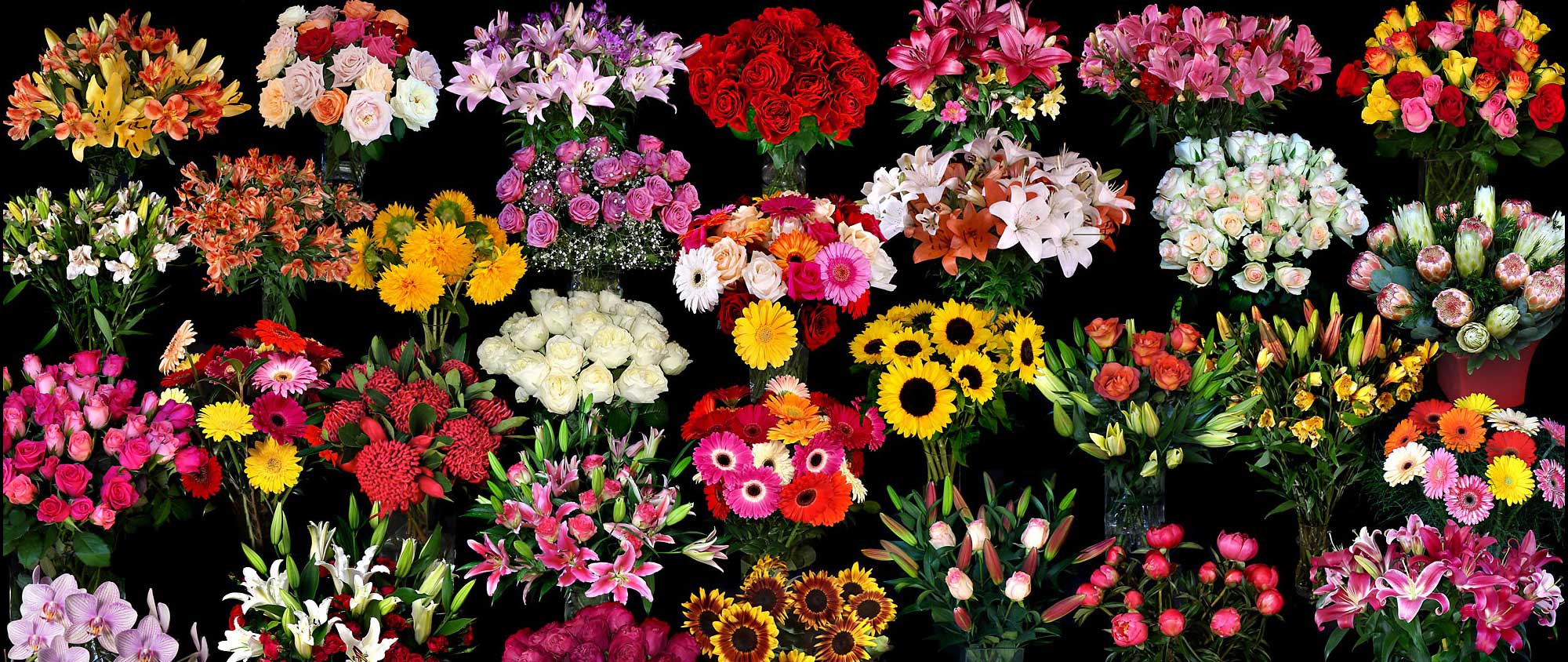 Caloundra Florist