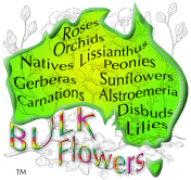 BULK FLOWERS