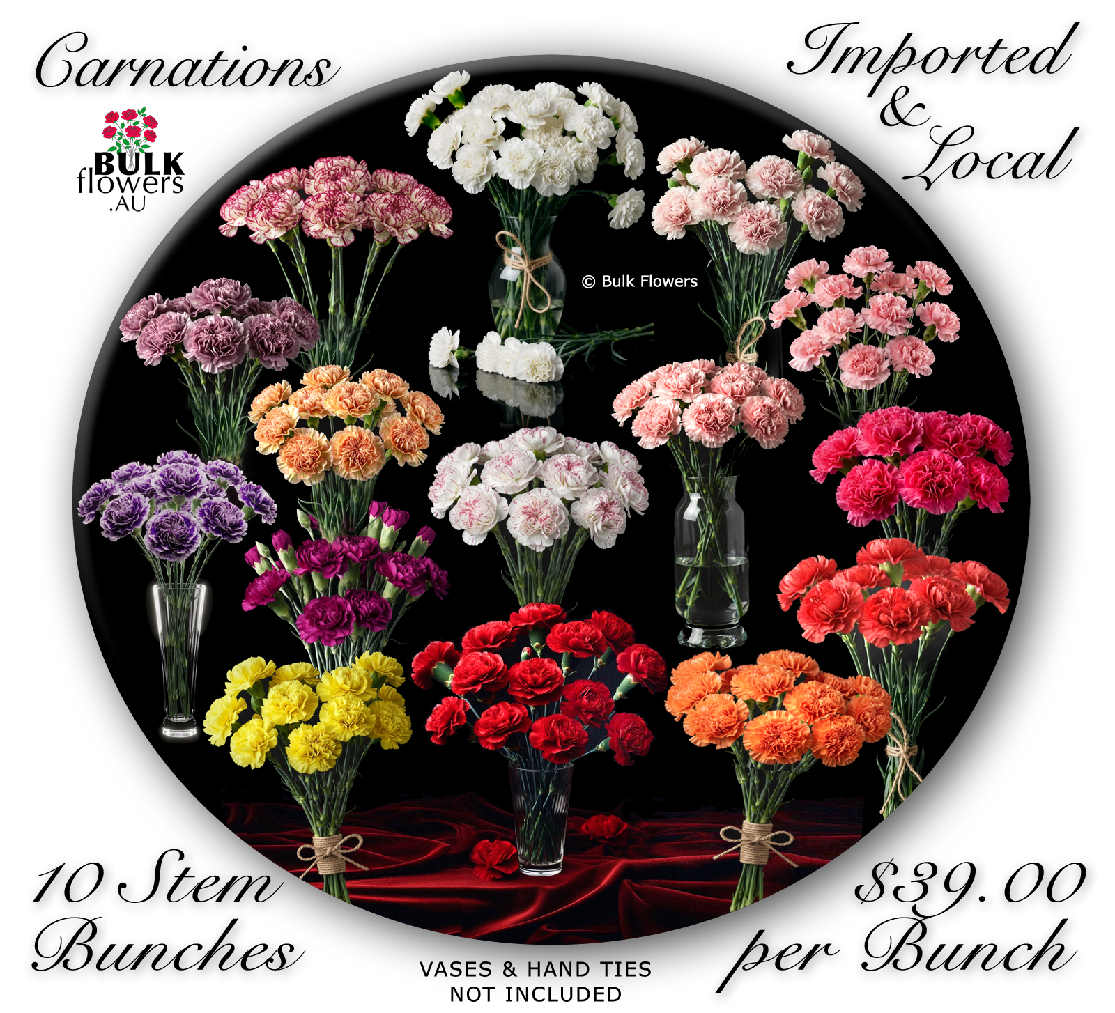 BULK FLOWERS CARNATIONS