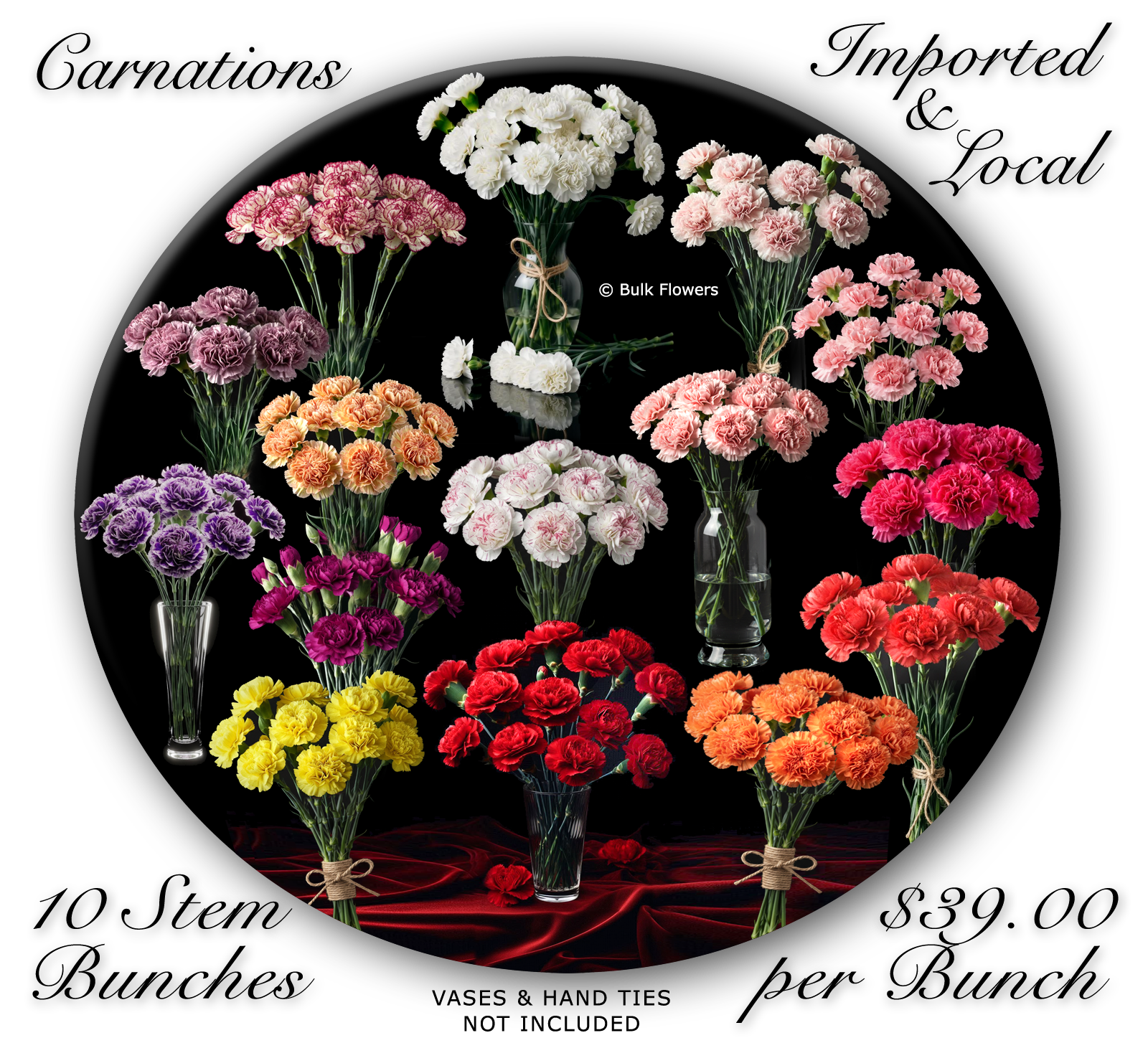 BULK FLOWERS CARNATIONS