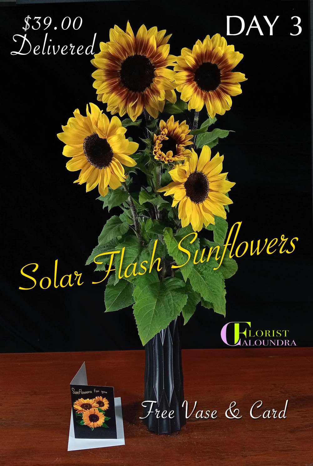 CALOUNDRA FLORIST SUNFLOWERS