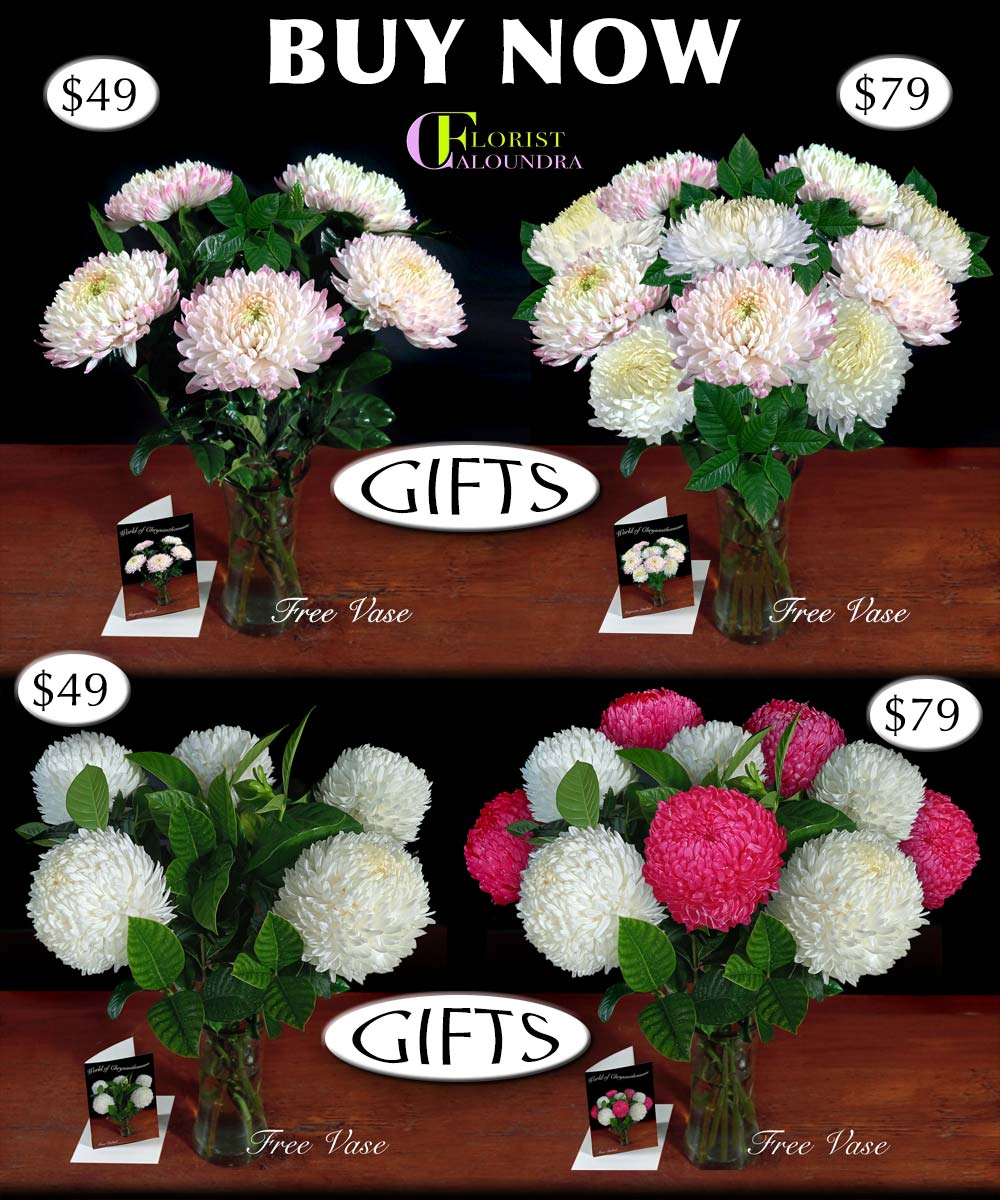 WHOLESALE DISBUDS