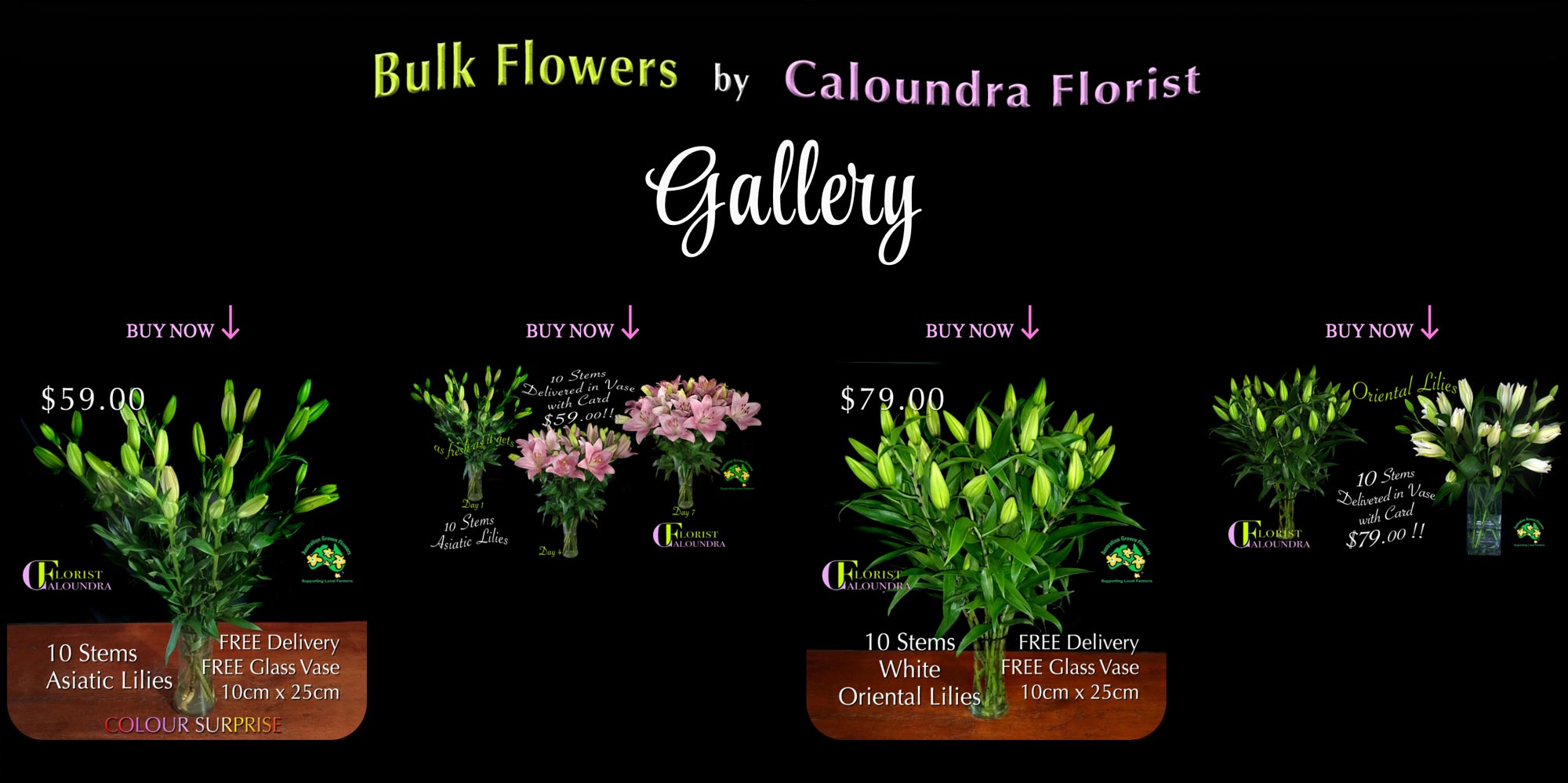 BULK FLOWERS GALLERY