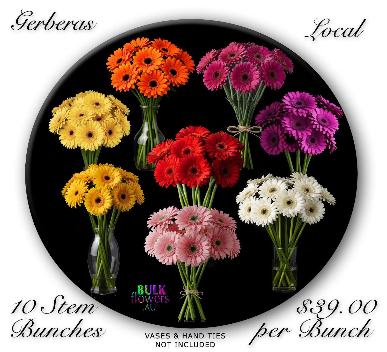 BULK FLOWERS GERBERAS