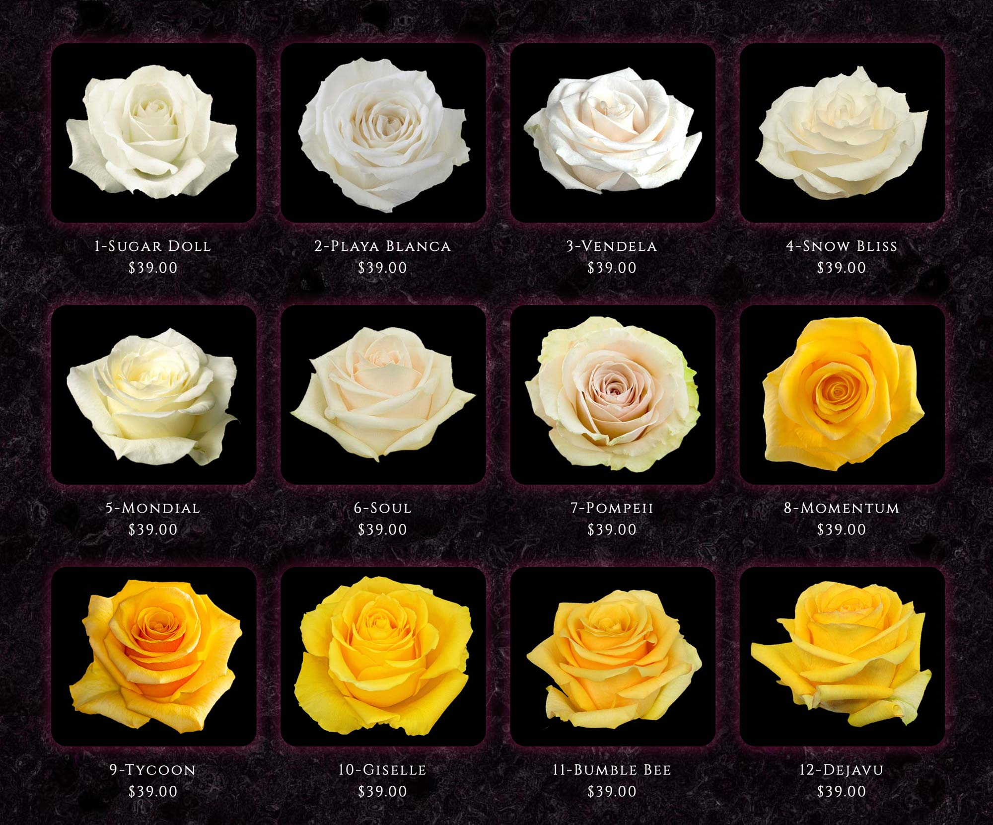 COLOMBIAN ROSES