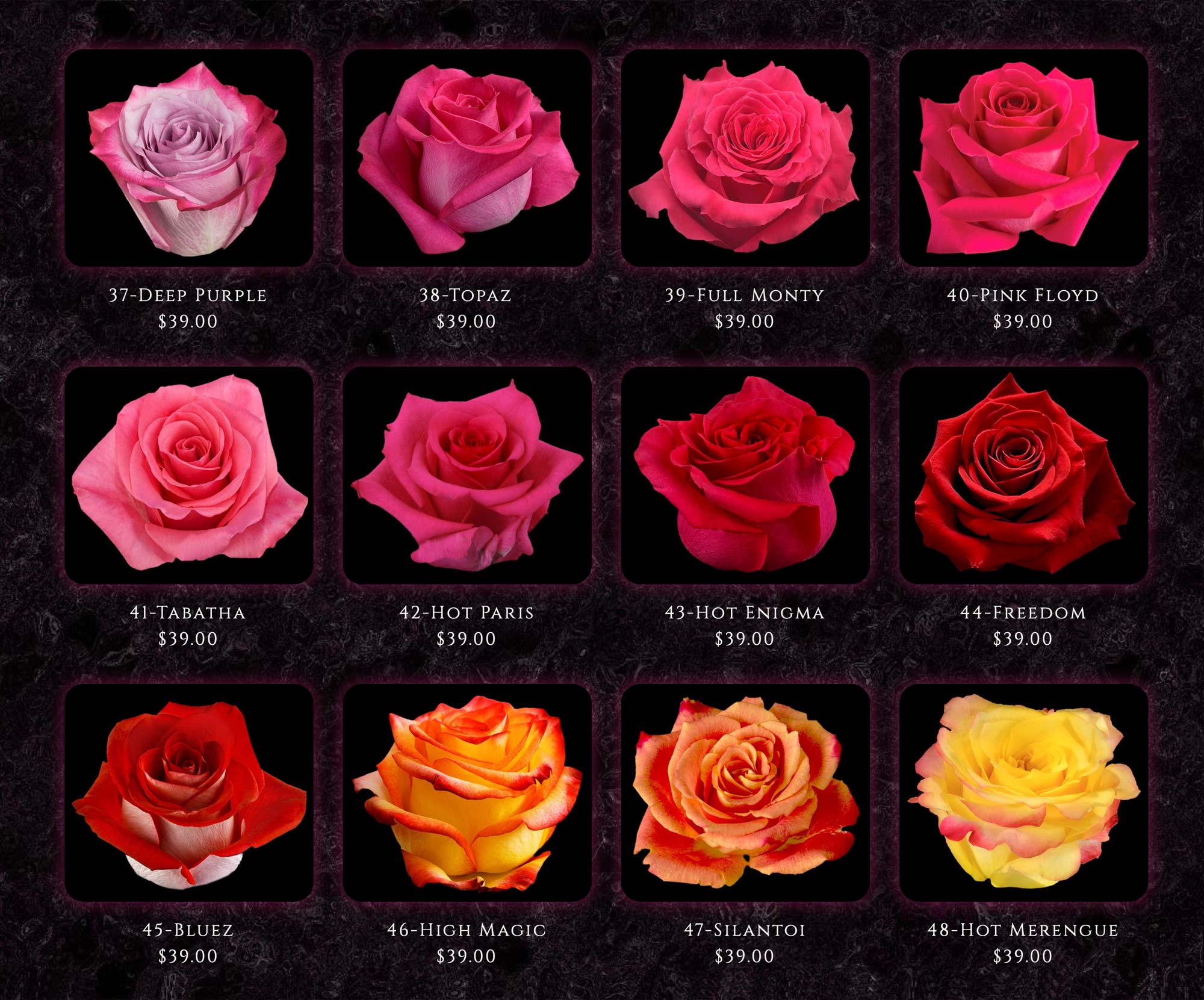 COLOMBIAN ROSES