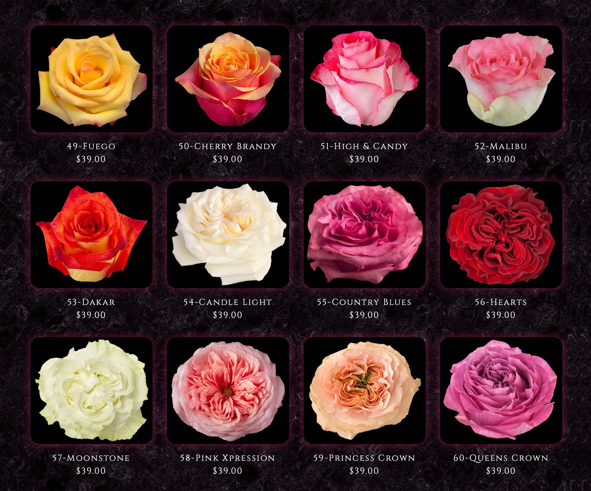 COLOMBIAN ROSES