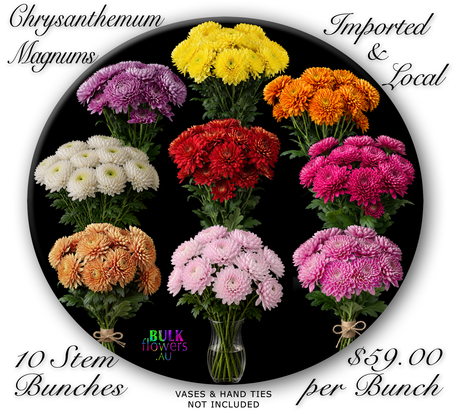 BULK FLOWERS CHRYSANTHEMUM MAGNUMS