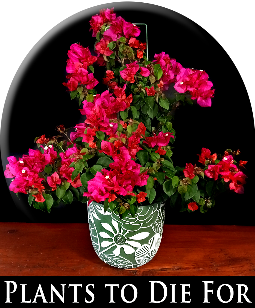 SELECT PLANTS