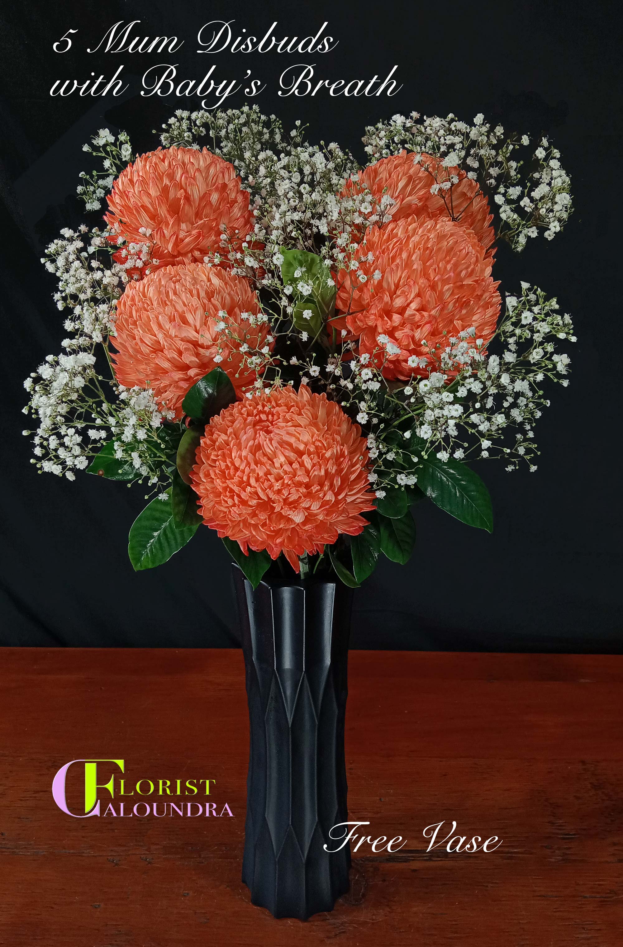 ORANGE MUM DISBUDS