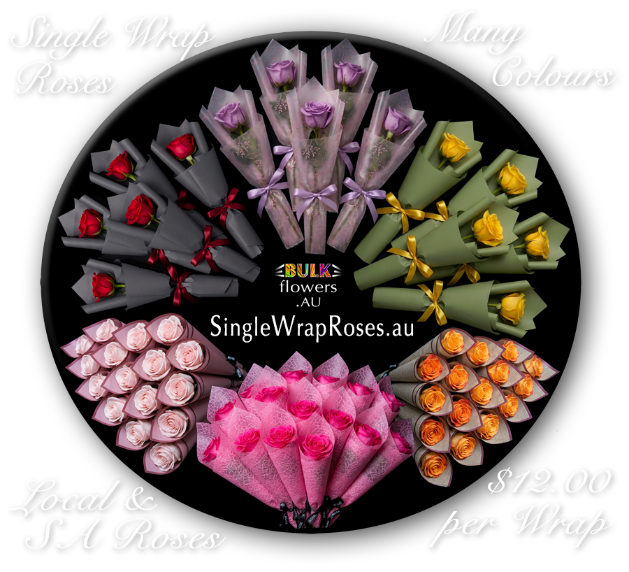 SINGLE WRAP ROSES