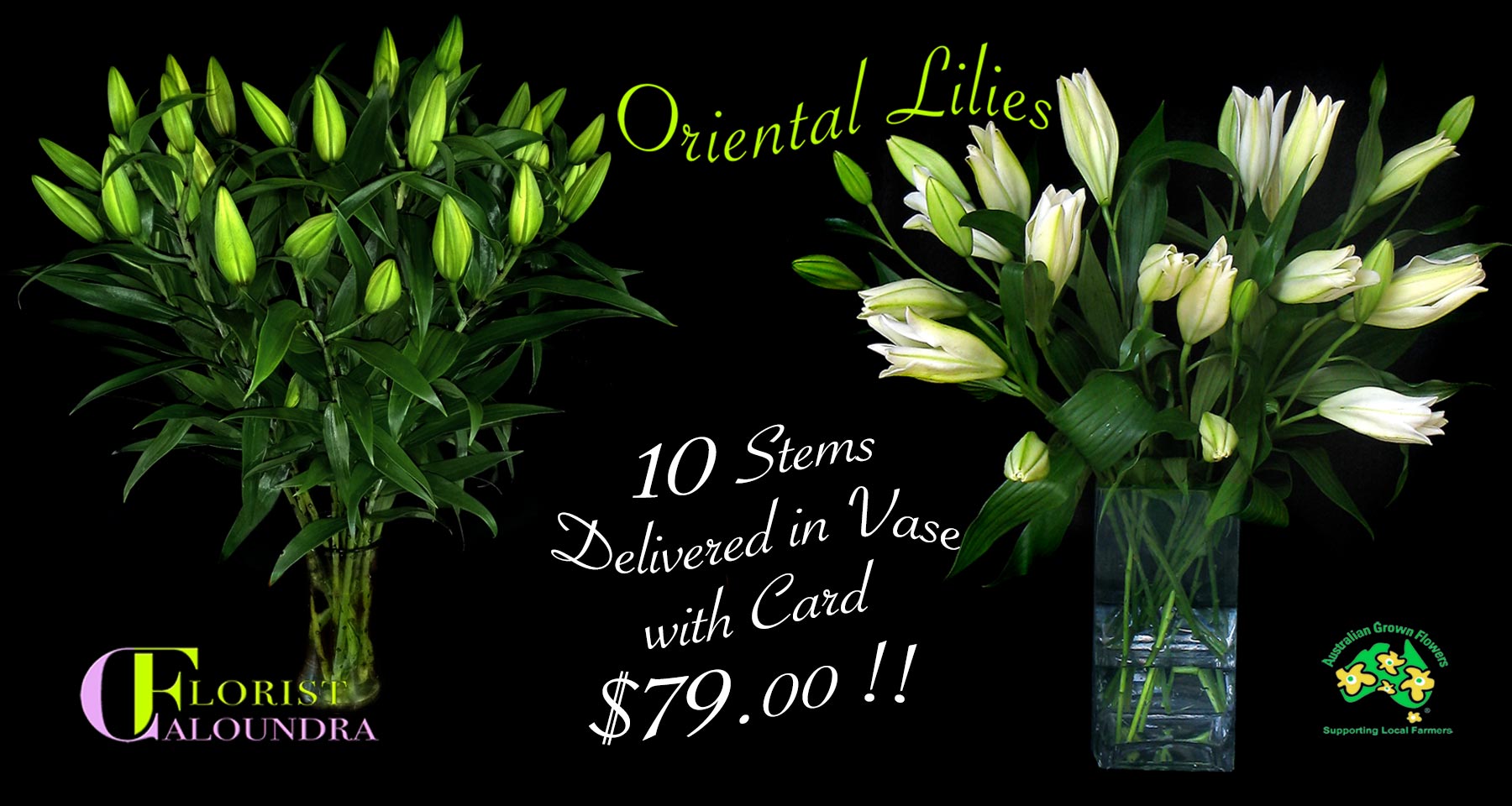 10 WHITE ORIENTAL LILIES