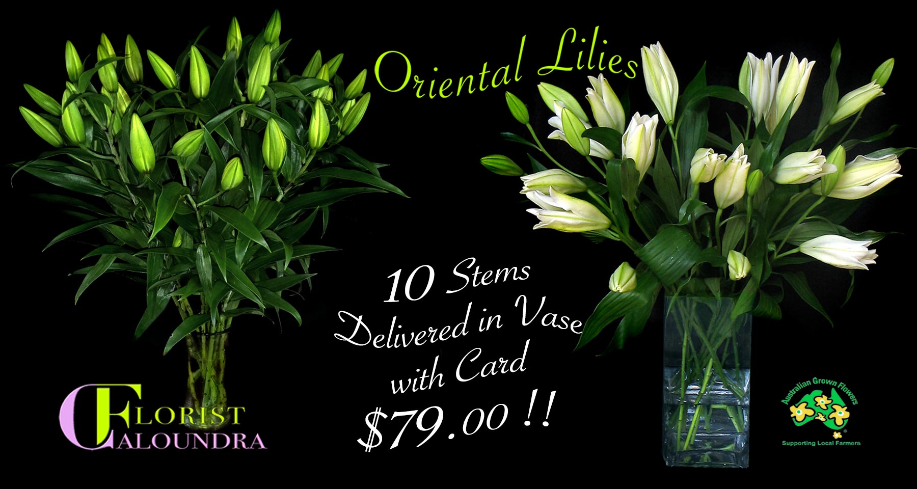 CALOUNDRA FLORIST BULK FLOWERS